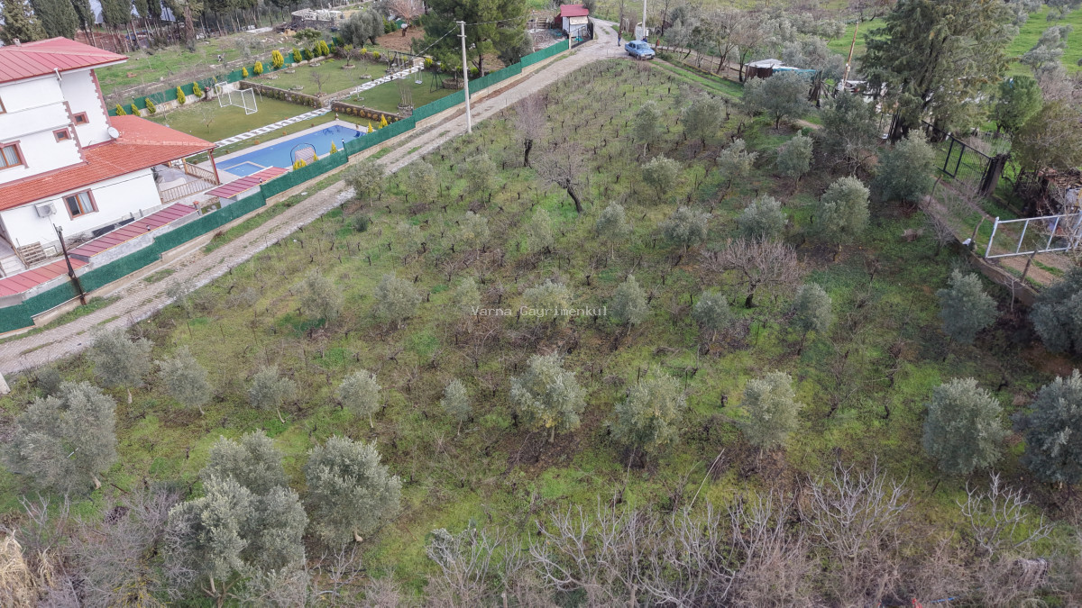 İZMİR YENİKÖY MERKEZDE SATILIK TEKTAPU 1.855 M2 MUHTEŞEM KONUMDA BAHÇE - 10