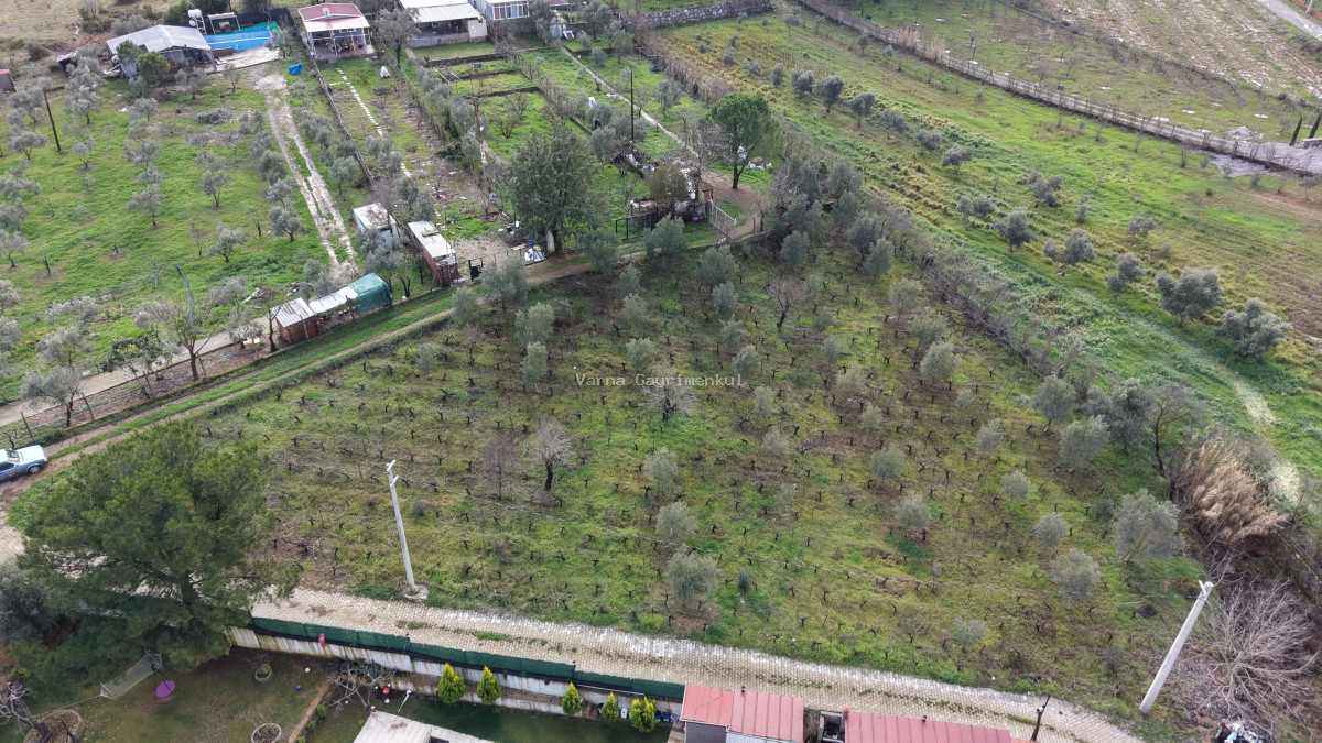 İZMİR YENİKÖY MERKEZDE SATILIK TEKTAPU 1.855 M2 MUHTEŞEM KONUMDA BAHÇE - 11