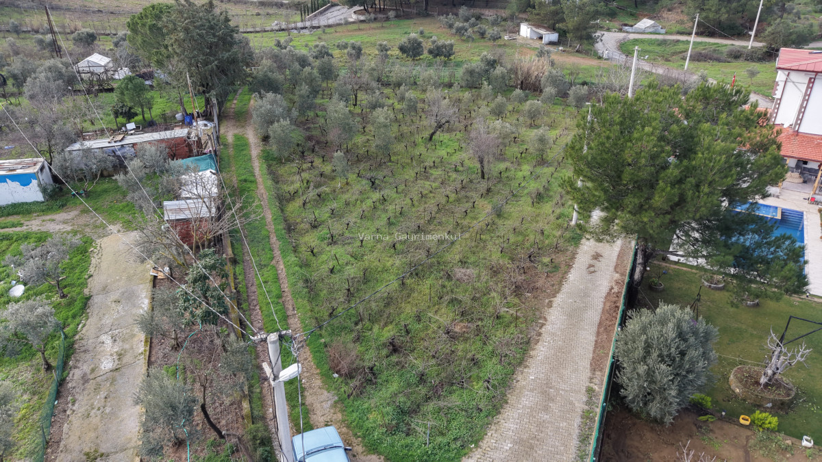 İZMİR YENİKÖY MERKEZDE SATILIK TEKTAPU 1.855 M2 MUHTEŞEM KONUMDA BAHÇE - 12