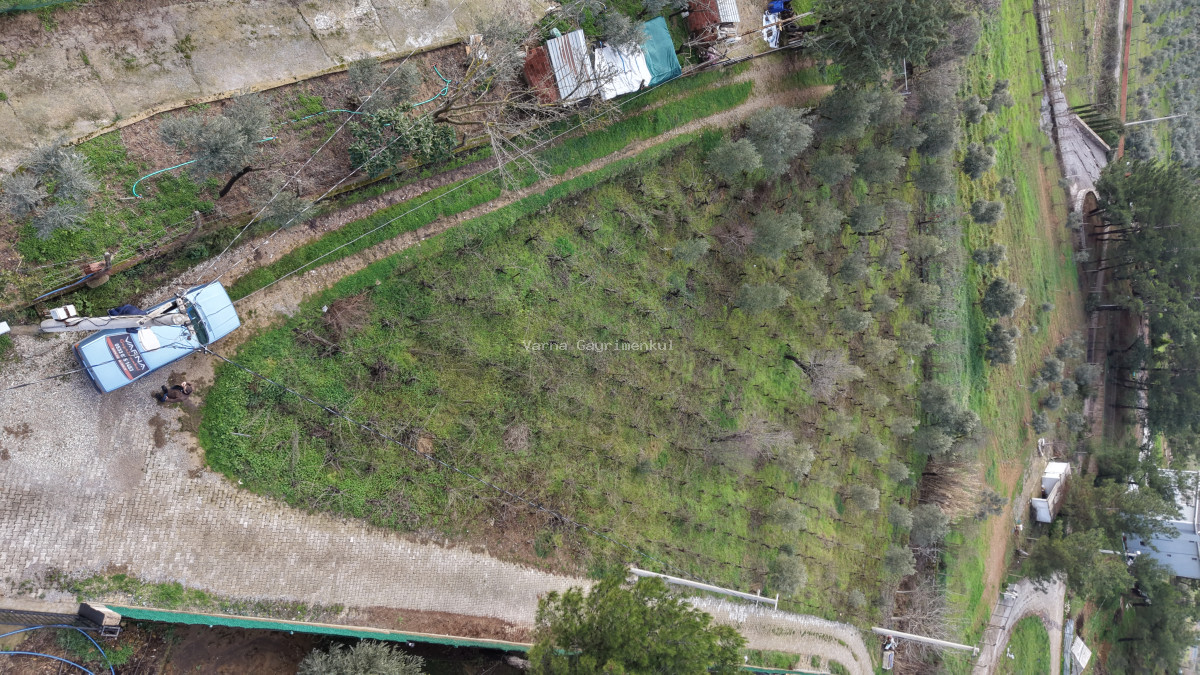 İZMİR YENİKÖY MERKEZDE SATILIK TEKTAPU 1.855 M2 MUHTEŞEM KONUMDA BAHÇE - 16