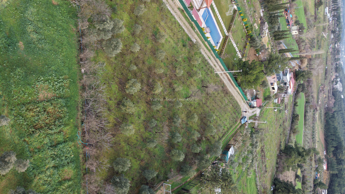 İZMİR YENİKÖY MERKEZDE SATILIK TEKTAPU 1.855 M2 MUHTEŞEM KONUMDA BAHÇE - 19