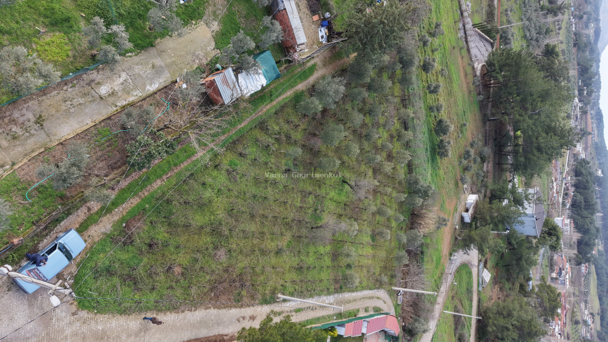 İZMİR YENİKÖY MERKEZDE SATILIK TEKTAPU 1.855 M2 MUHTEŞEM KONUMDA BAHÇE - 22