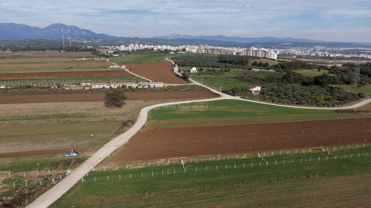 İZMİR OĞLANANASINDA SATILIK 290 M2 İMARIN DİBİNDE YATIRIMLIK BAHÇELER - 10