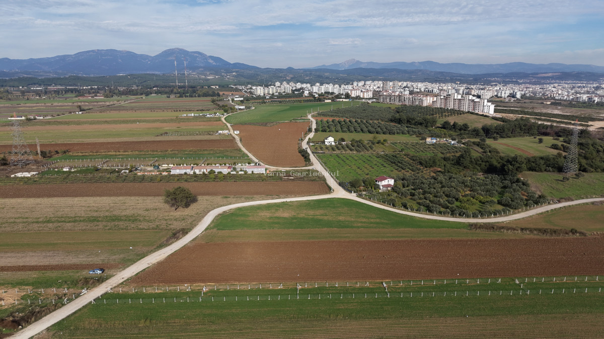 İZMİR OĞLANANASINDA SATILIK 290 M2 İMARIN DİBİNDE YATIRIMLIK BAHÇELER
