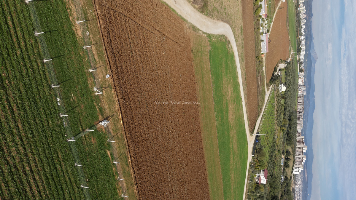 İZMİR OĞLANANASINDA SATILIK 290 M2 İMARIN DİBİNDE YATIRIMLIK BAHÇELER - 20
