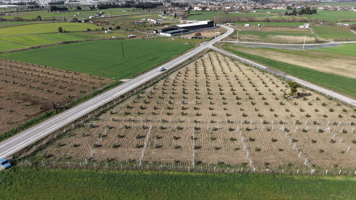 TEKELİDE ANAYOL CEPHELİ SATILIK TAPULU 260 M2 İZBANA YAKIN BAHÇELER - 2