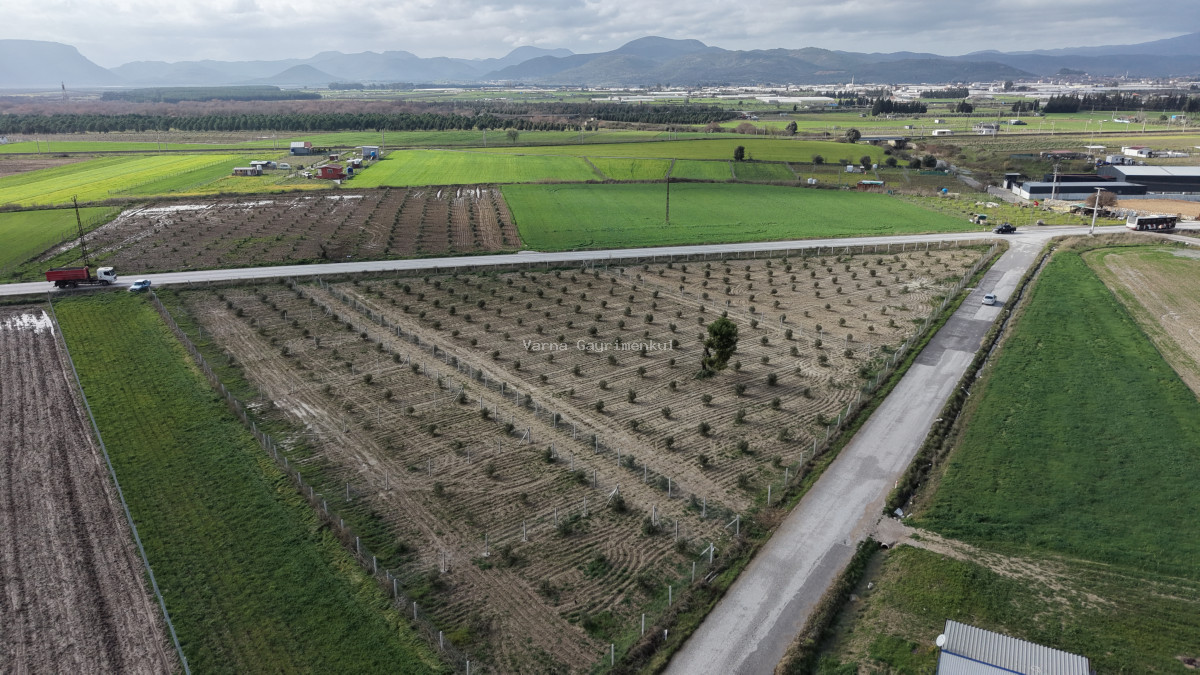 TEKELİDE ANAYOL CEPHELİ SATILIK TAPULU 260 M2 İZBANA YAKIN BAHÇELER - 8