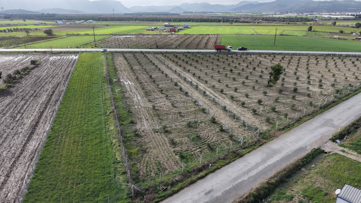 TEKELİDE ANAYOL CEPHELİ SATILIK TAPULU 260 M2 İZBANA YAKIN BAHÇELER - 9