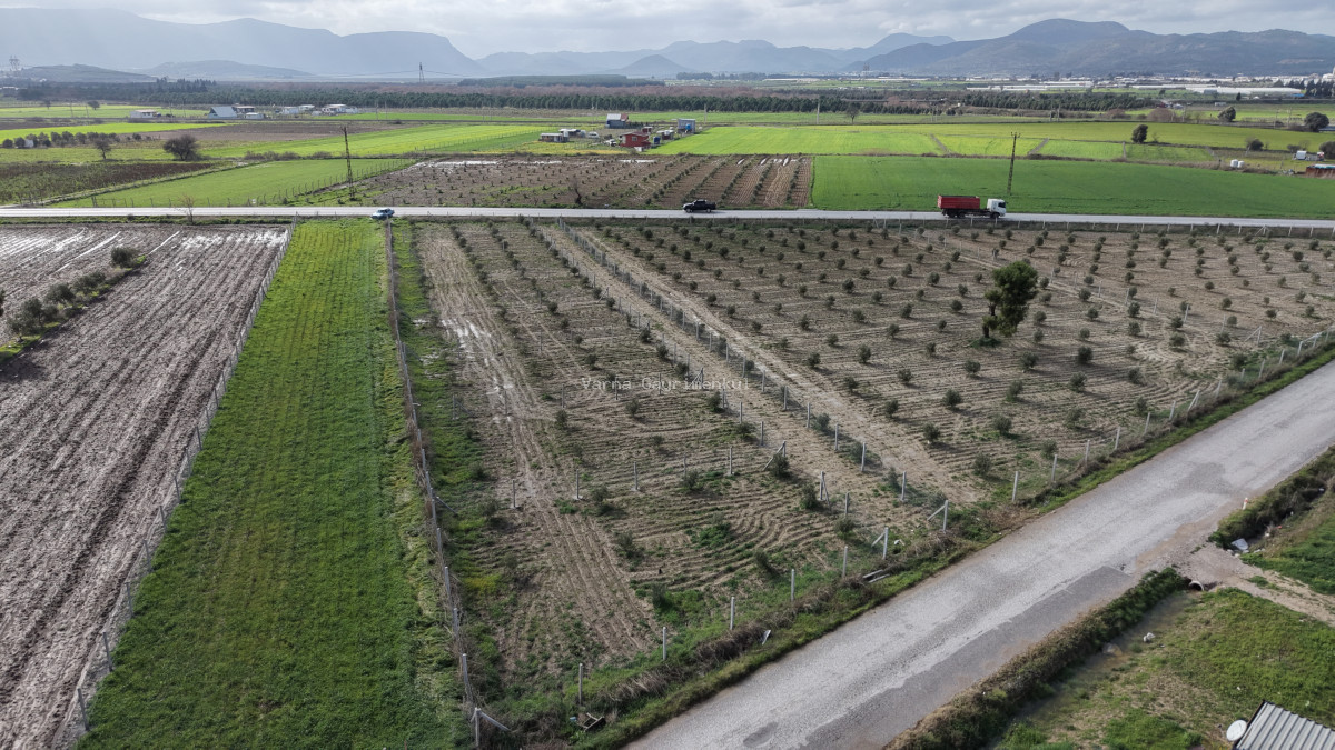 TEKELİDE ANAYOL CEPHELİ SATILIK TAPULU 260 M2 İZBANA YAKIN BAHÇELER - 10