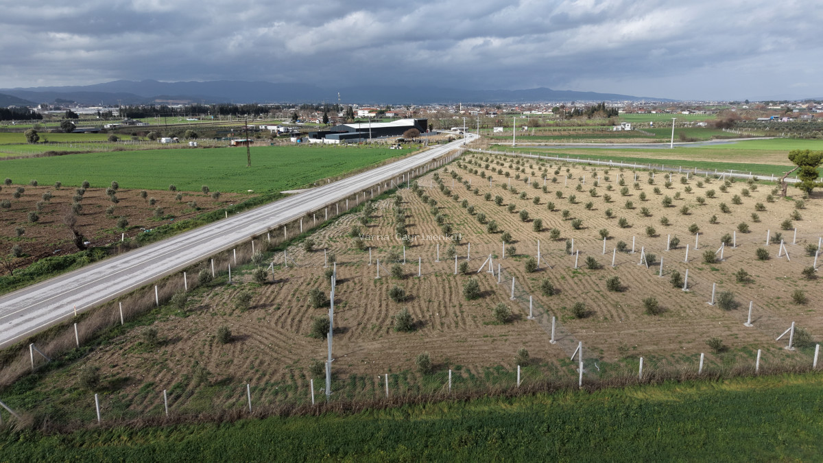 TEKELİDE ANAYOL CEPHELİ SATILIK TAPULU 260 M2 İZBANA YAKIN BAHÇELER - 14
