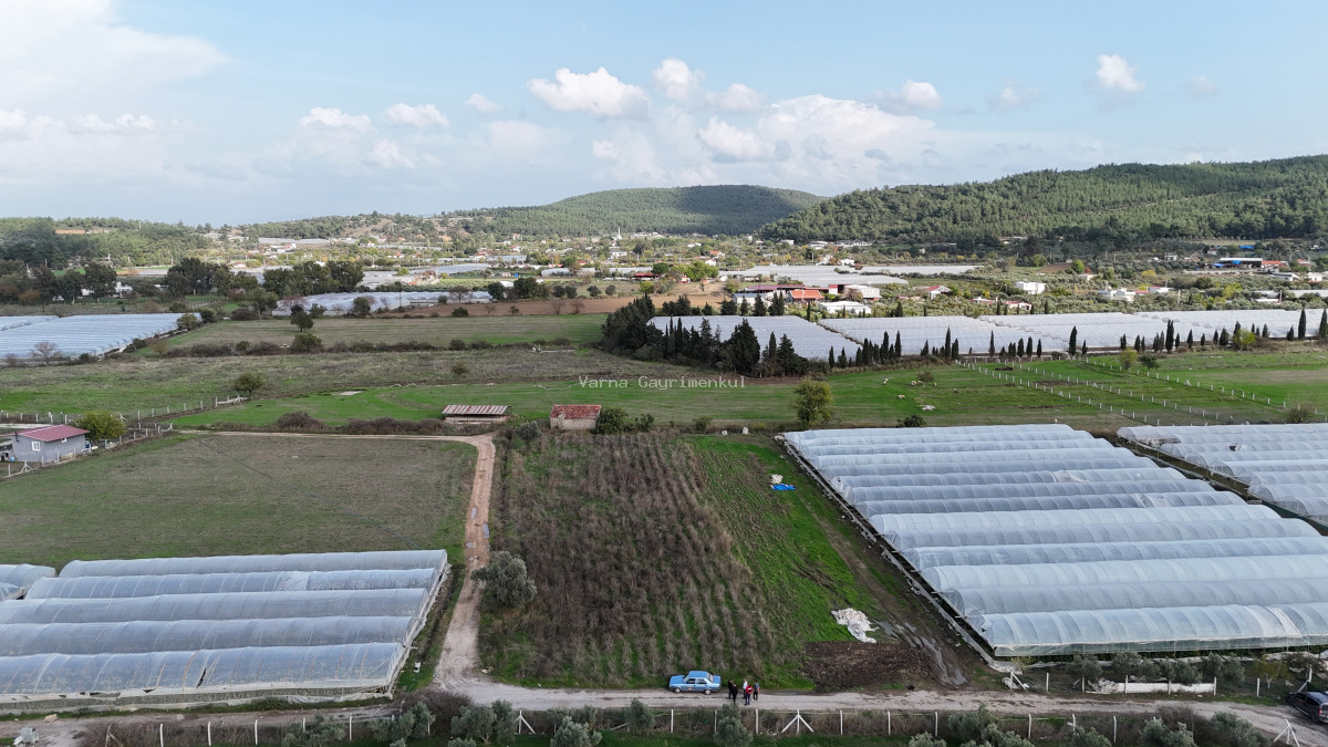 İZMİR DEĞİRMENDEREDE SATILIK TEKTAPU 2.650 M2 YATIRIMLIK KÖŞE TARLA - 2