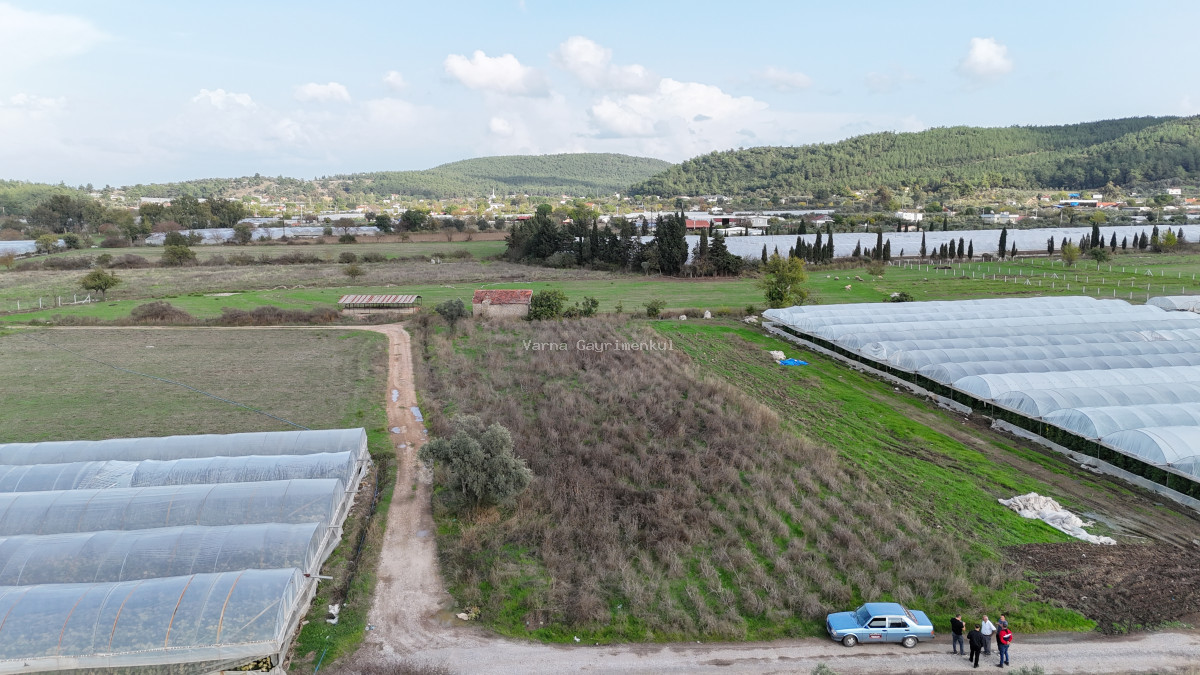İZMİR DEĞİRMENDEREDE SATILIK TEKTAPU 2.650 M2 YATIRIMLIK KÖŞE TARLA - 3