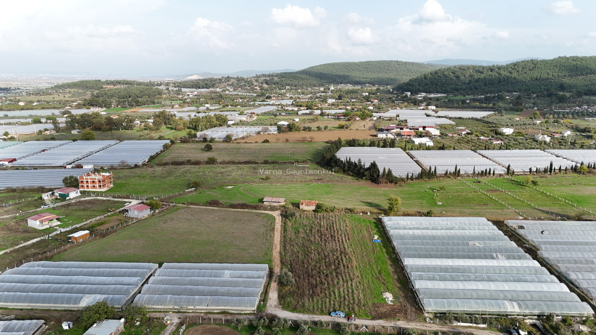 İZMİR DEĞİRMENDEREDE SATILIK TEKTAPU 2.650 M2 YATIRIMLIK KÖŞE TARLA - 4