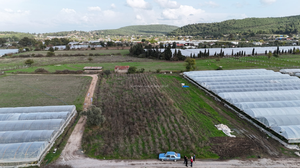 İZMİR DEĞİRMENDEREDE SATILIK TEKTAPU 2.650 M2 YATIRIMLIK KÖŞE TARLA - 5