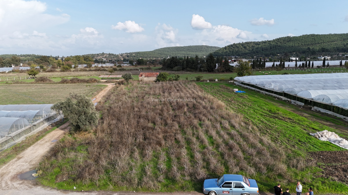 İZMİR DEĞİRMENDEREDE SATILIK TEKTAPU 2.650 M2 YATIRIMLIK KÖŞE TARLA - 8
