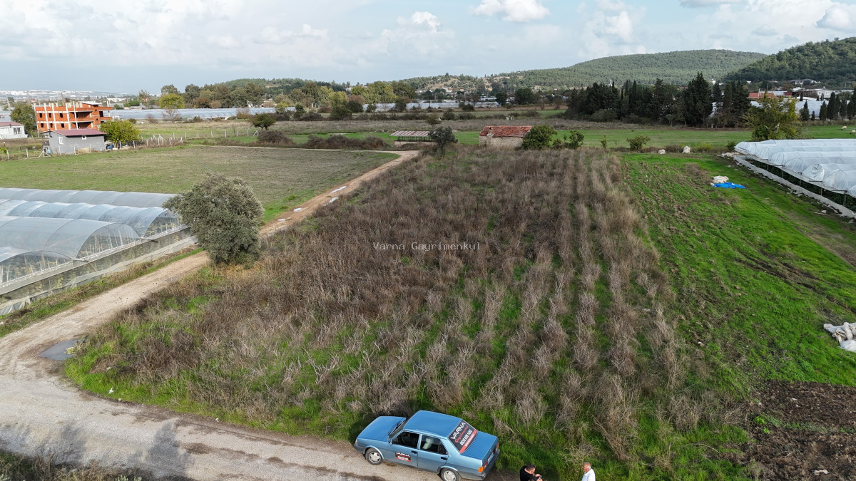 İZMİR DEĞİRMENDEREDE SATILIK TEKTAPU 2.650 M2 YATIRIMLIK KÖŞE TARLA - 11