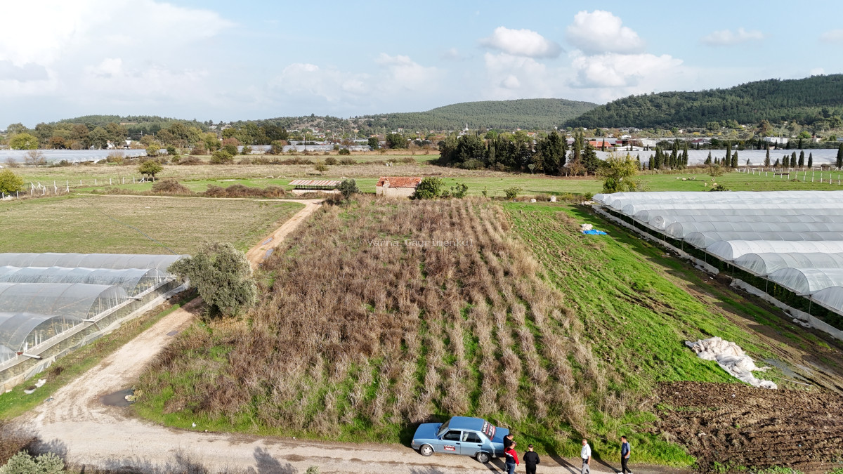 İZMİR DEĞİRMENDEREDE SATILIK TEKTAPU 2.650 M2 YATIRIMLIK KÖŞE TARLA - 12