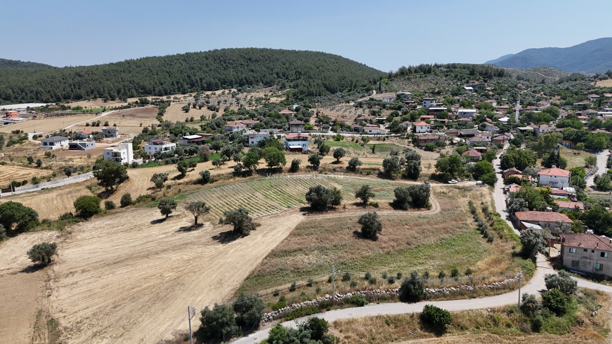 İZMİR SANCAKLI KÖY İÇİNDE SATILIK 250M2 ELEKTRİK SUYU HAZIR HESAPLI ARSALAR - 4