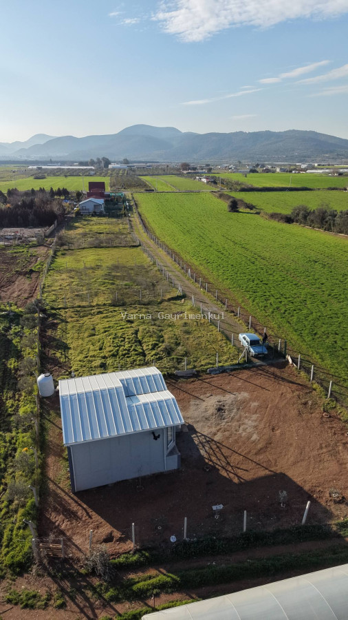 MENDERESTE SATILIK 500 M2 TAPULU 75 M2 EV ELEKTRİK SUYU OLAN HARİKA BAHÇE - 3