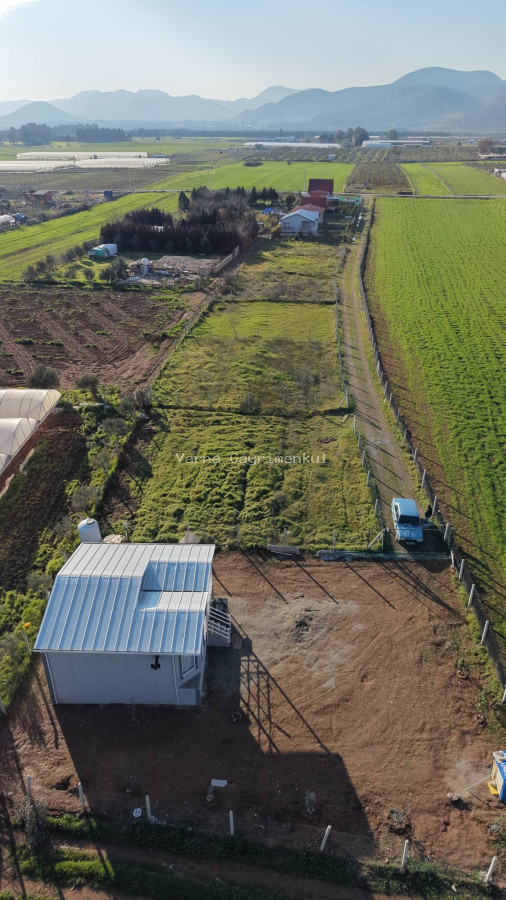 MENDERESTE SATILIK 500 M2 TAPULU 75 M2 EV ELEKTRİK SUYU OLAN HARİKA BAHÇE - 4