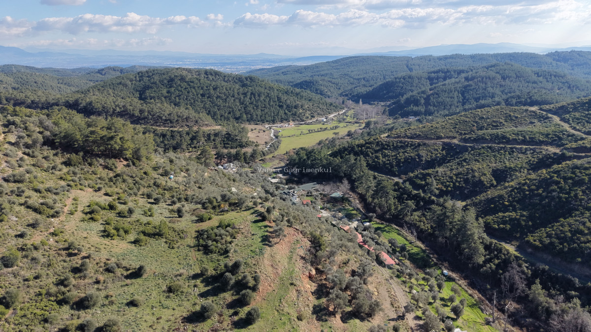 ÇATALCADA SATILIK TEKTAPU 20.000 M2 GAZİEMİRE 10 DK MESAFEDE KELEPİR ARAZİ