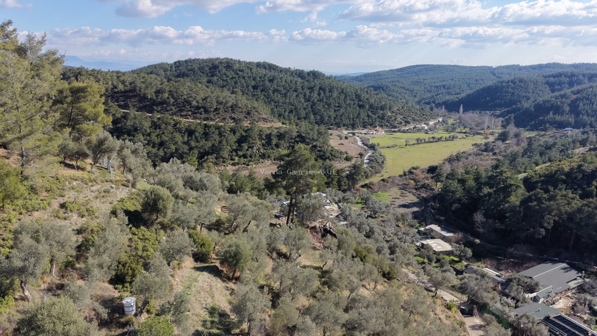 ÇATALCADA SATILIK TEKTAPU 20.000 M2 GAZİEMİRE 10 DK MESAFEDE KELEPİR ARAZİ - 2