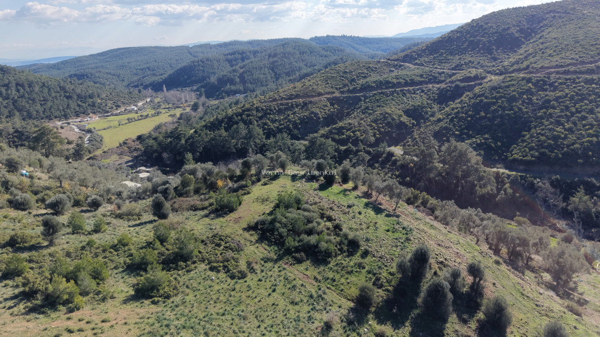ÇATALCADA SATILIK TEKTAPU 20.000 M2 GAZİEMİRE 10 DK MESAFEDE KELEPİR ARAZİ - 3