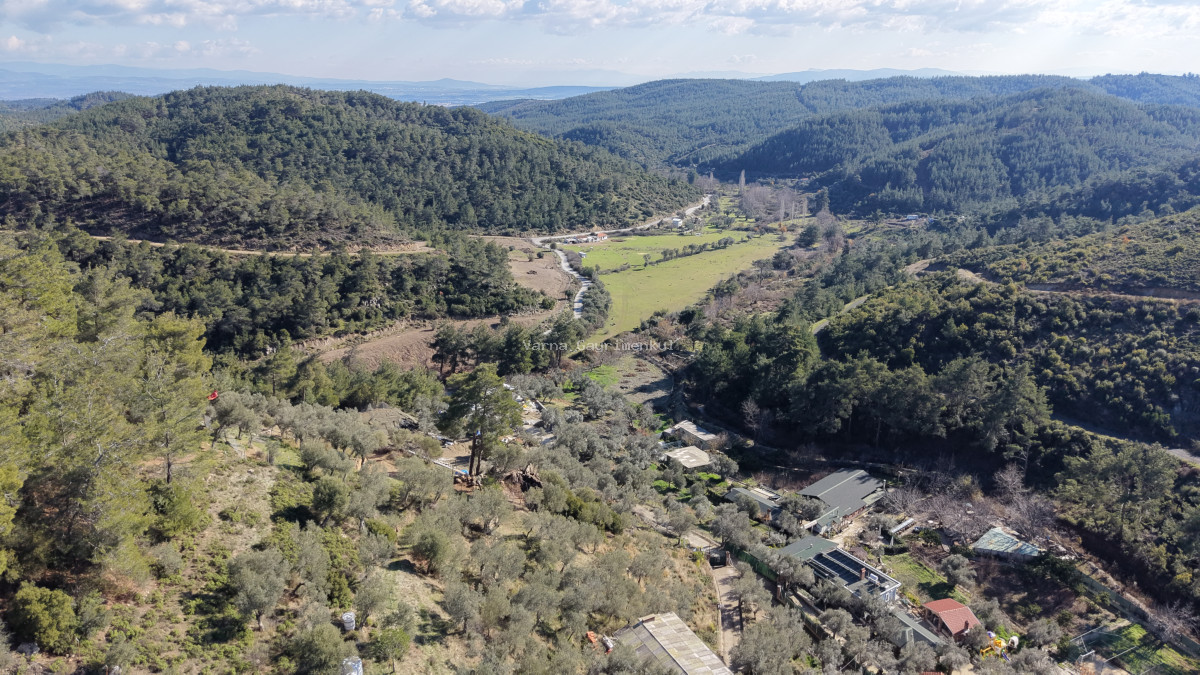ÇATALCADA SATILIK TEKTAPU 20.000 M2 GAZİEMİRE 10 DK MESAFEDE KELEPİR ARAZİ - 4