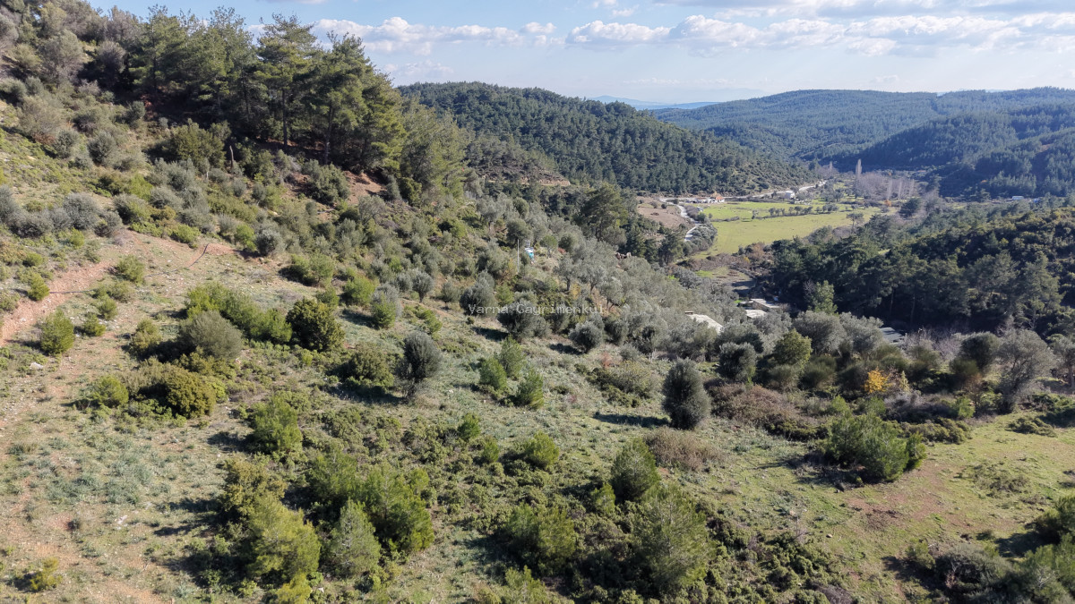 ÇATALCADA SATILIK TEKTAPU 20.000 M2 GAZİEMİRE 10 DK MESAFEDE KELEPİR ARAZİ - 8