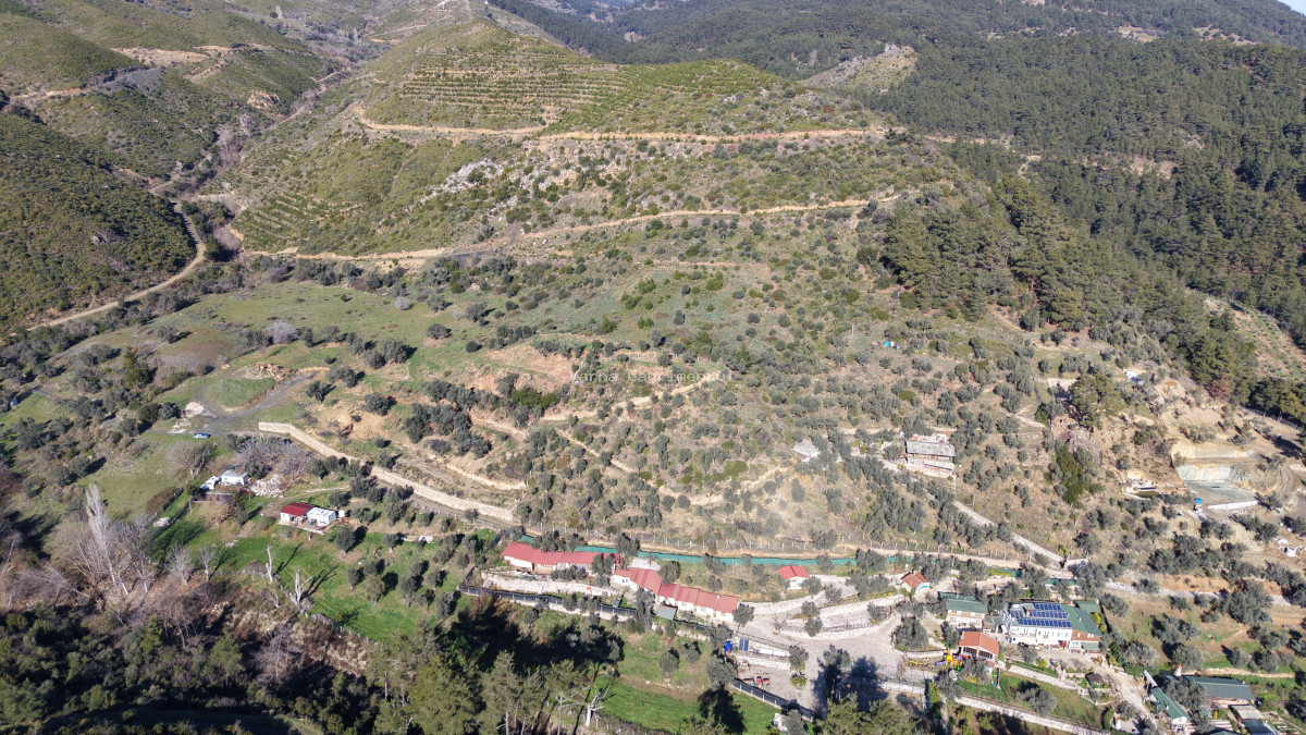 ÇATALCADA SATILIK TEKTAPU 20.000 M2 GAZİEMİRE 10 DK MESAFEDE KELEPİR ARAZİ - 10