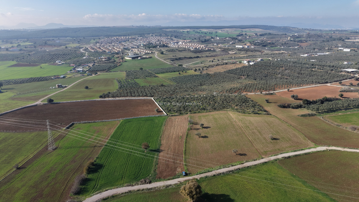 MENDERESTE SATILIK TEKTAPU 2.500 M2 PANCAR SANAYİ İMAR DİBİNDE BAHÇE