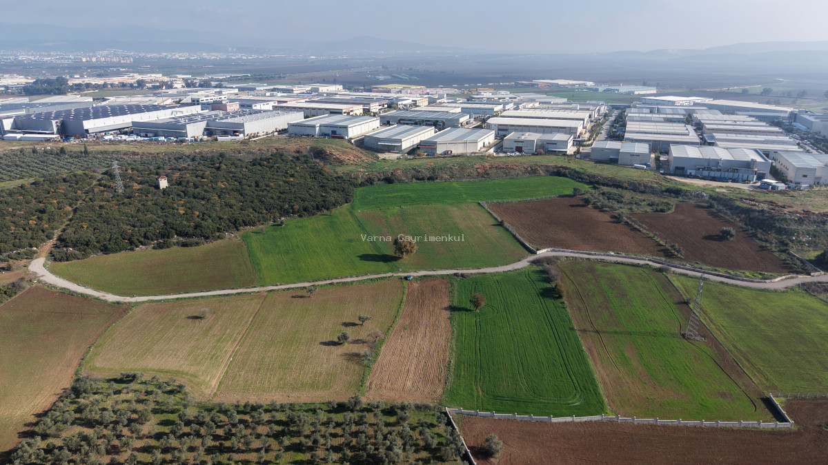 MENDERESTE SATILIK TEKTAPU 2.500 M2 PANCAR SANAYİ İMAR DİBİNDE BAHÇE - 2