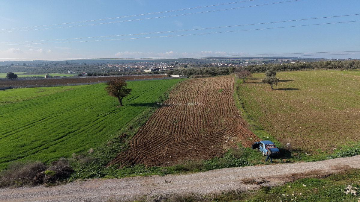 MENDERESTE SATILIK TEKTAPU 2.500 M2 PANCAR SANAYİ İMAR DİBİNDE BAHÇE - 3