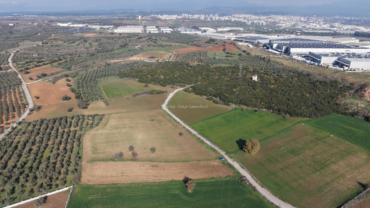 MENDERESTE SATILIK TEKTAPU 2.500 M2 PANCAR SANAYİ İMAR DİBİNDE BAHÇE - 4