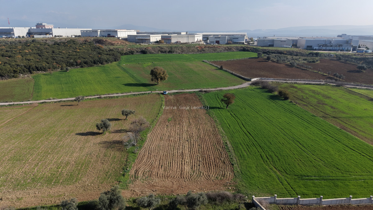 MENDERESTE SATILIK TEKTAPU 2.500 M2 PANCAR SANAYİ İMAR DİBİNDE BAHÇE - 5