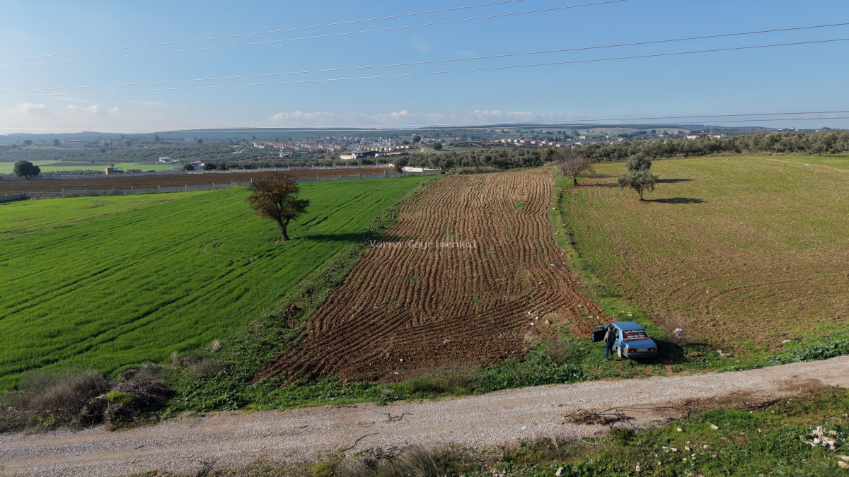 MENDERESTE SATILIK TEKTAPU 2.500 M2 PANCAR SANAYİ İMAR DİBİNDE BAHÇE - 6