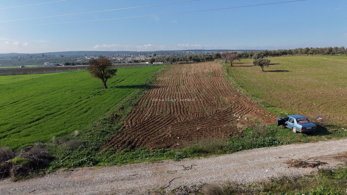 MENDERESTE SATILIK TEKTAPU 2.500 M2 PANCAR SANAYİ İMAR DİBİNDE BAHÇE - 7