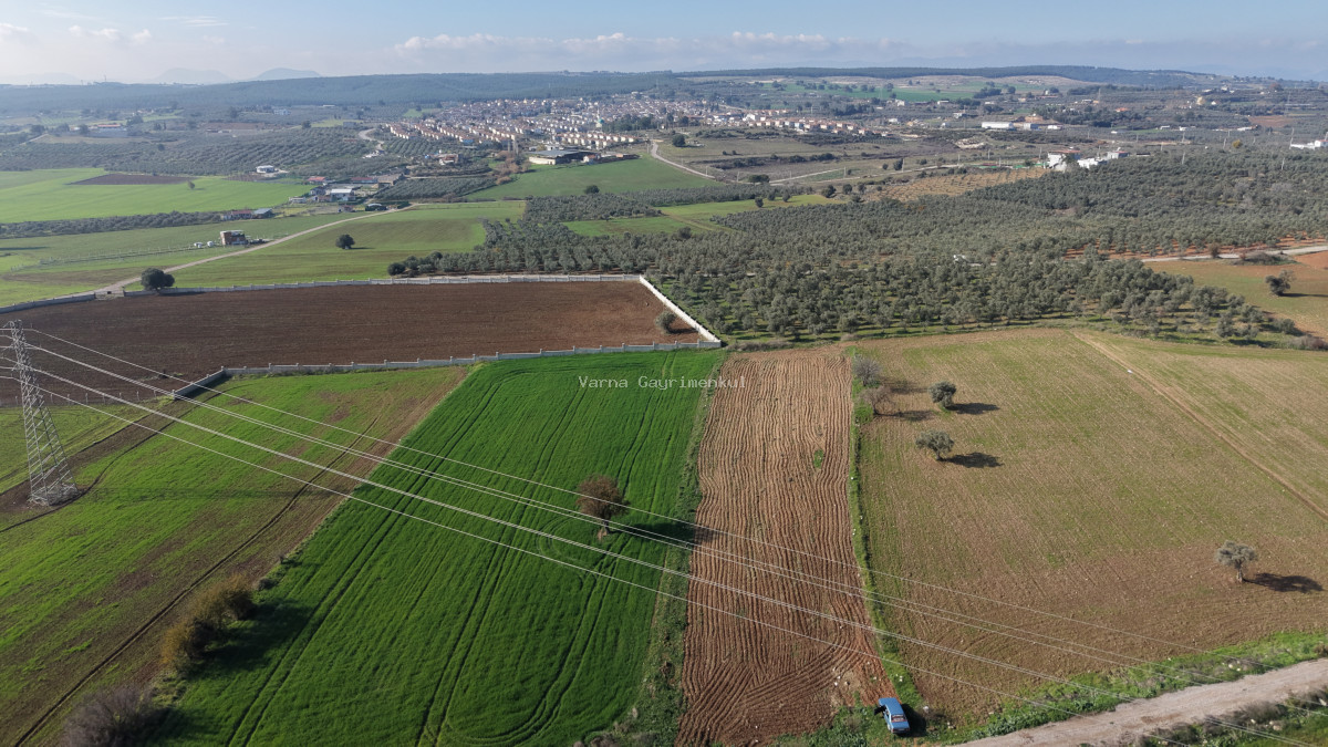 MENDERESTE SATILIK TEKTAPU 2.500 M2 PANCAR SANAYİ İMAR DİBİNDE BAHÇE - 8