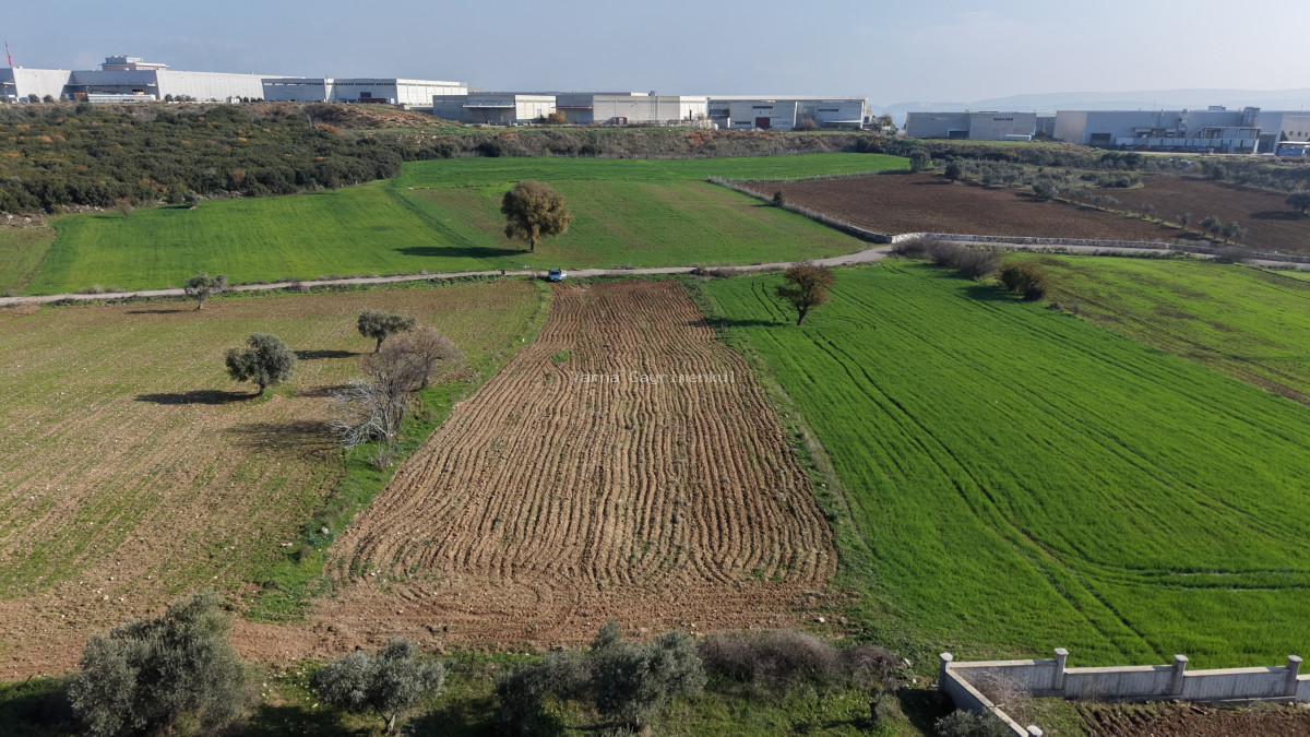 MENDERESTE SATILIK TEKTAPU 2.500 M2 PANCAR SANAYİ İMAR DİBİNDE BAHÇE - 9