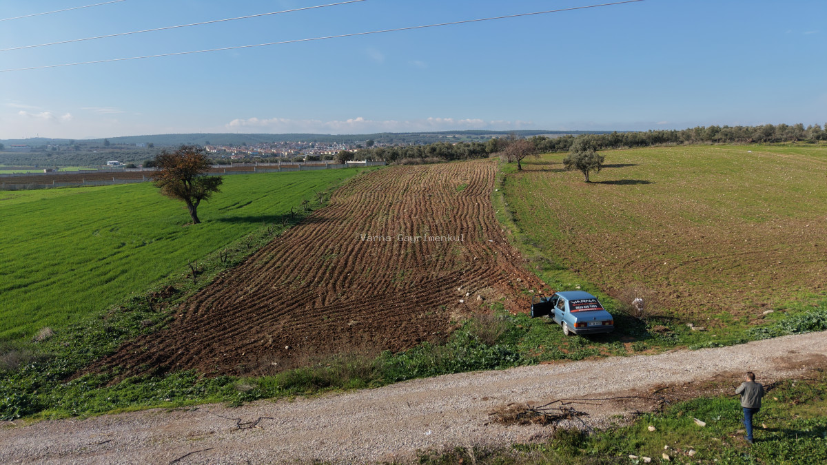 MENDERESTE SATILIK TEKTAPU 2.500 M2 PANCAR SANAYİ İMAR DİBİNDE BAHÇE - 10
