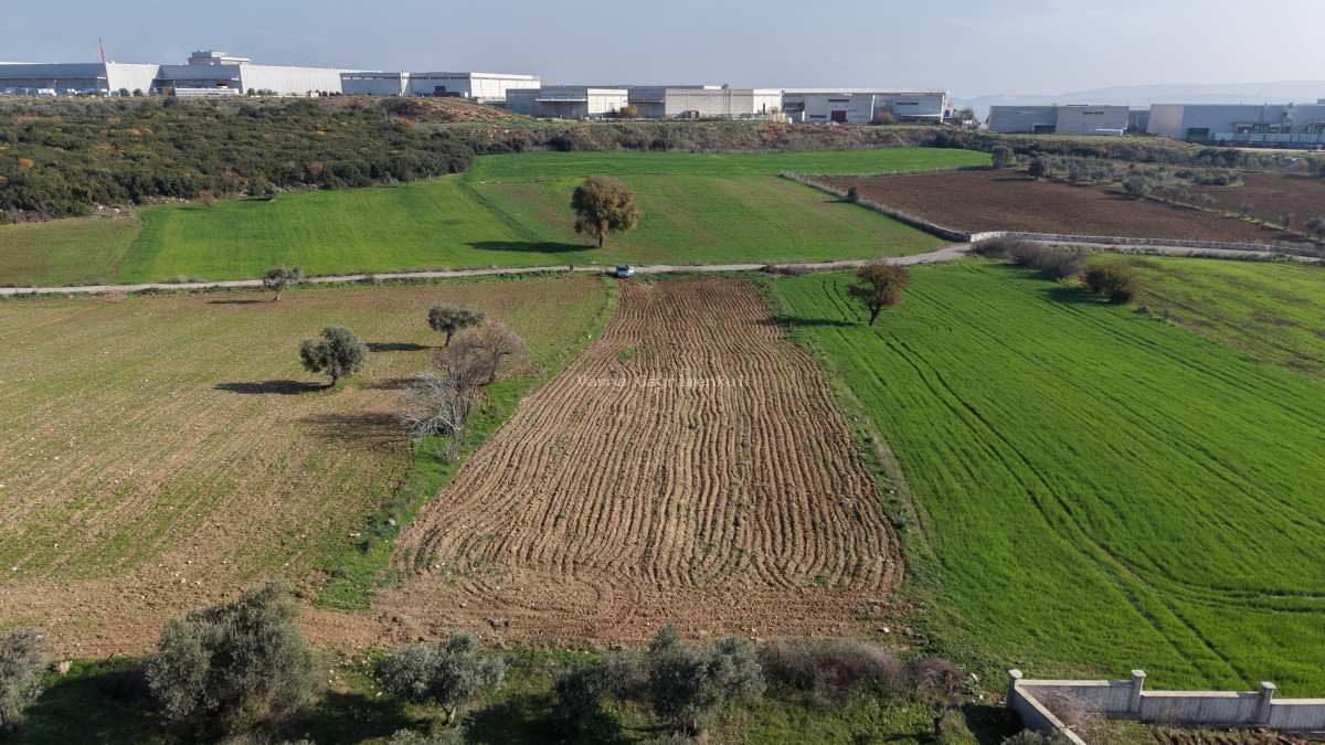 MENDERESTE SATILIK TEKTAPU 2.500 M2 PANCAR SANAYİ İMAR DİBİNDE BAHÇE - 11