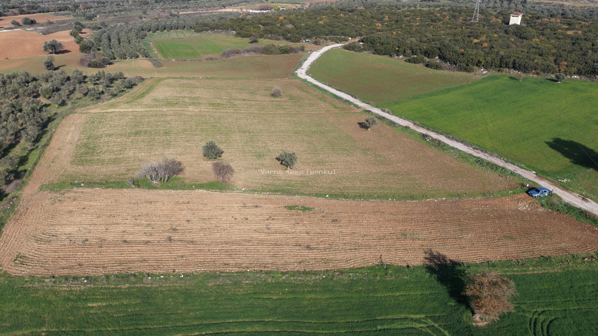 MENDERESTE SATILIK TEKTAPU 2.500 M2 PANCAR SANAYİ İMAR DİBİNDE BAHÇE - 12