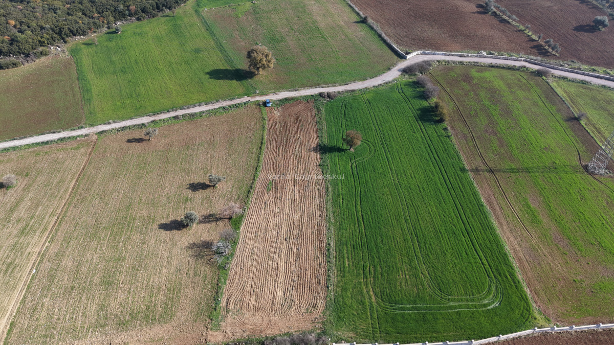 MENDERESTE SATILIK TEKTAPU 2.500 M2 PANCAR SANAYİ İMAR DİBİNDE BAHÇE - 13