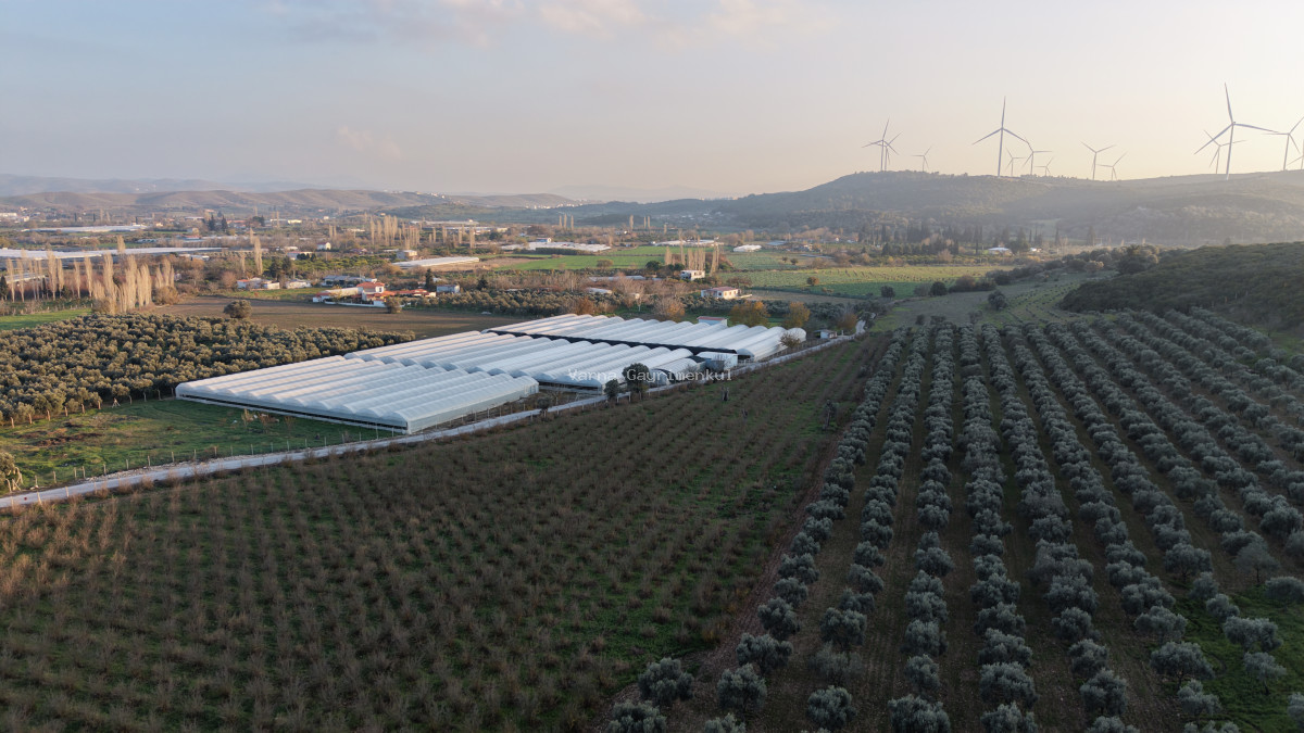 URLA BADEMLER AZMAK KOYU ARASINDA SATILIK 252 M2 SAHİLE 4 DK MESAFEDE HARİKA BAHÇELER