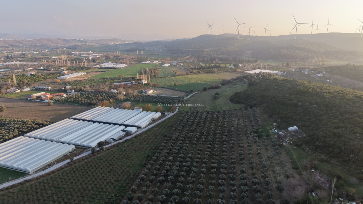 URLA BADEMLER AZMAK KOYU ARASINDA SATILIK 252 M2 SAHİLE 4 DK MESAFEDE HARİKA BAHÇELER - 2