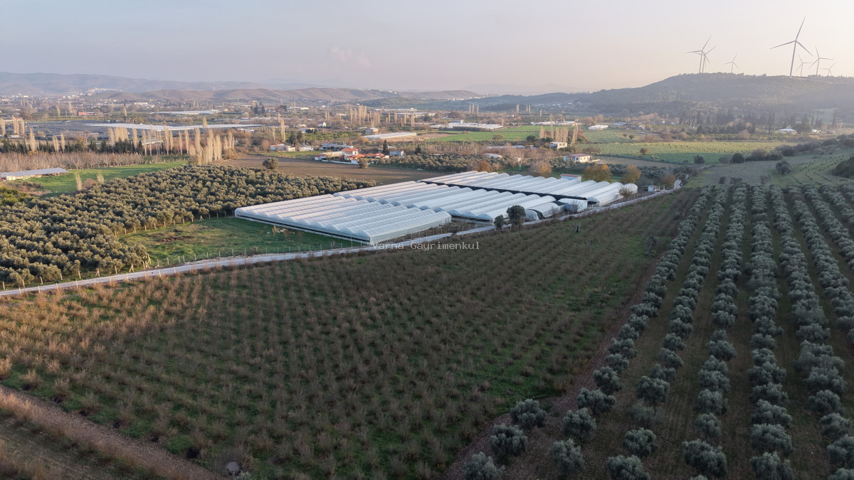 URLA BADEMLER AZMAK KOYU ARASINDA SATILIK 252 M2 SAHİLE 4 DK MESAFEDE HARİKA BAHÇELER - 3