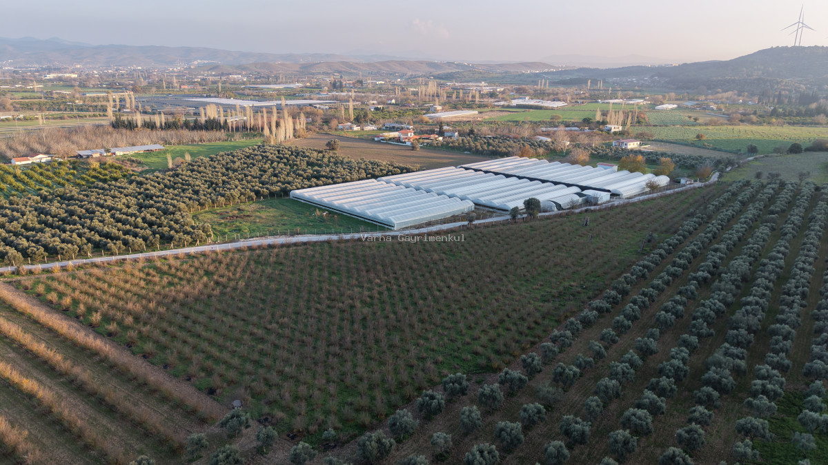 URLA BADEMLER AZMAK KOYU ARASINDA SATILIK 252 M2 SAHİLE 4 DK MESAFEDE HARİKA BAHÇELER - 6