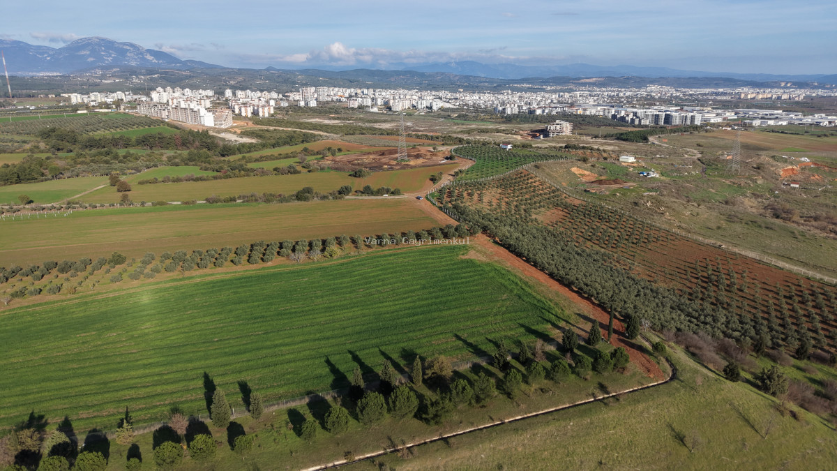 İZMİR HAVAALANINA VE İMARA YAKIN SATILIK TEKTAPU 1.400 M2 YATIRIMLIK ARAZİ