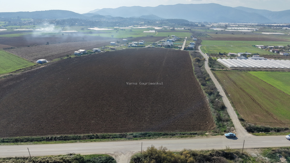 İZMİR SANCAKLIDA SATILIK TEKTAPU 4.700 M2 ANAYOLA YAKIN KÖŞE TARLA - 3