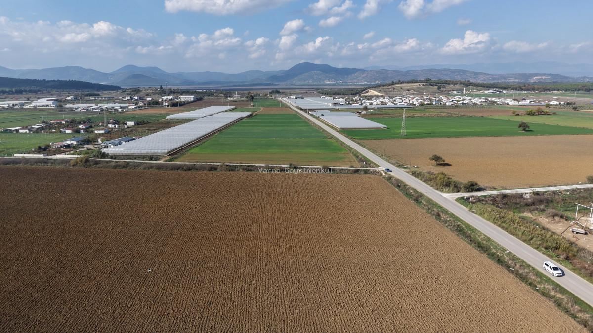 İZMİR SANCAKLIDA SATILIK TEKTAPU 4.700 M2 ANAYOLA YAKIN KÖŞE TARLA - 9